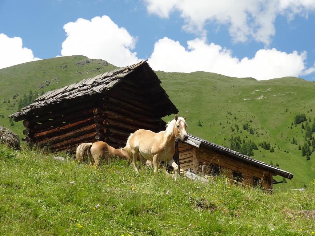 Gaestehaus Zwischenberger Obervellach Ngoại thất bức ảnh